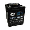 BCG 06245
