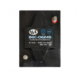 BCG 06245