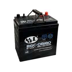 BCG 08180