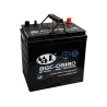 BCG 08180