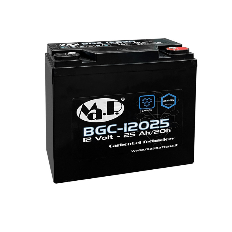 BCG-12025